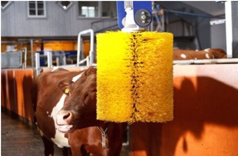 DeLaval SCB Dokunmatik Sallanan İnek Kaşınma Fırçası